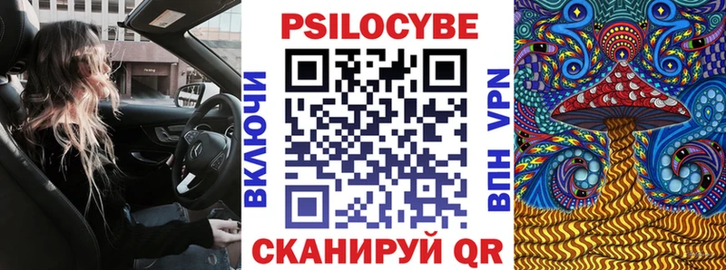 где можно купить   Дыгулыбгей  Галлюциногенные грибы Psilocybe 